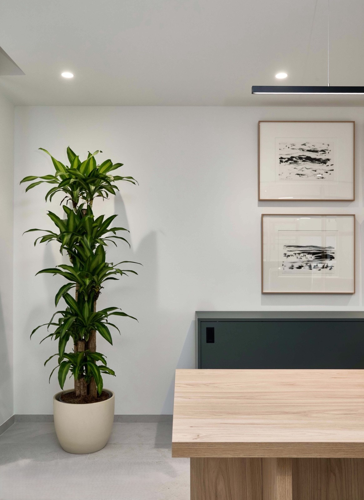 decoración del interior de la asesoría